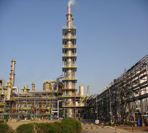 走近零碳 上?；^調研 企業減排看效益,園區須加強統籌